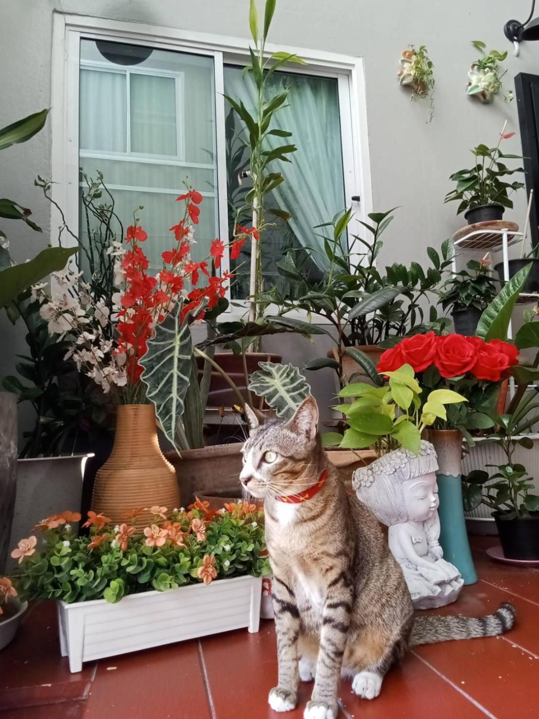 Vlodge House Chiang Mai Bagian luar foto